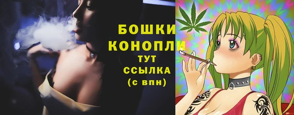 эйфоретик Надым