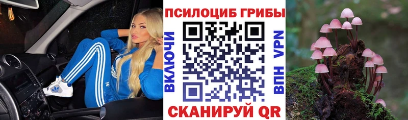 Псилоцибиновые грибы Psilocybine cubensis  купить наркоту  Нерчинск 