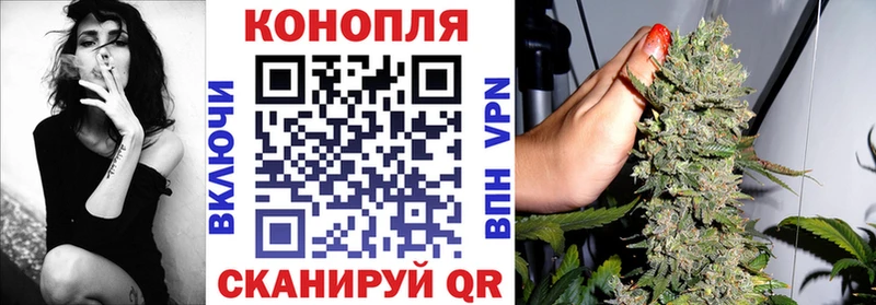 Бошки марихуана SATIVA & INDICA Нерчинск